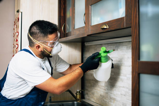 Best Pest Inspection Near Me  in Brent, FL